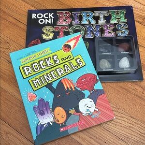 NEW! Bundle of 2 Scholastic Rocks and Minerals Books